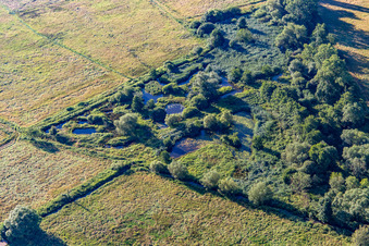 Luftaufnahme von Biotop an der Queich im Ortsteil Niederhochstadt in Hochstadt im Bundesland Rheinland-Pfalz, Deutschland