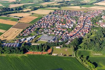 Am Rheinberg in Kuhardt im Bundesland Rheinland-Pfalz, Deutschland