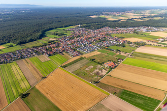 Hatzenbühl von Nordosten im Bundesland Rheinland-Pfalz, Deutschland