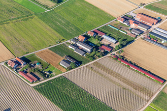 Aussiedlerhöfe Am Bildstöckel in Hatzenbühl im Bundesland Rheinland-Pfalz, Deutschland