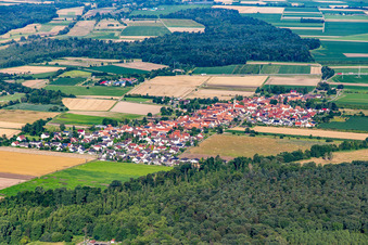 Schrägluftbild von Erlenbach bei Kandel von Nordosten im Bundesland Rheinland-Pfalz, Deutschland