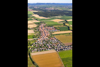 Luftbild von Erlenbach bei Kandel von Osten im Bundesland Rheinland-Pfalz, Deutschland