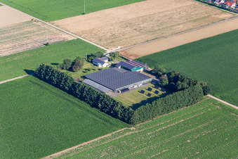 Aussiedlerhof in Steinweiler im Bundesland Rheinland-Pfalz, Deutschland