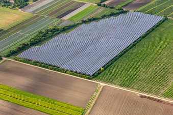 Große Freiland-PV-Anlage in Bürstadt im Bundesland Hessen, Deutschland