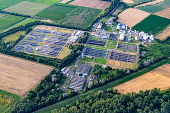 Klärwerk Stadtentwässerung Mannheim im Ortsteil Sandhofen im Bundesland Baden-Württemberg, Deutschland