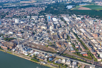Schrägluftbild von BASF Chemiewerk am Rheinufer in Ludwigshafen am Rhein im Bundesland Rheinland-Pfalz, Deutschland