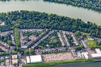 Luftbild von Parkinsel zwischen Rhein und Luitpoldhafen im Ortsteil Süd in Ludwigshafen am Rhein im Bundesland Rheinland-Pfalz, Deutschland