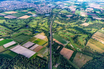 Luftaufnahme von Golfpark Kurpfalz in Schifferstadt im Bundesland Rheinland-Pfalz, Deutschland