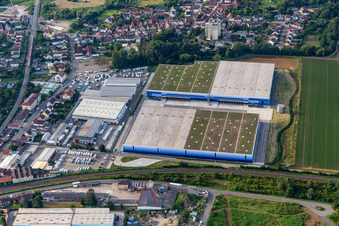 Luftbild von Neubau eines riesigen Logistikzentrums am Ketzerweg in Schifferstadt im Bundesland Rheinland-Pfalz, Deutschland