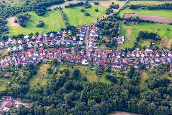Holzgasse x Langgasse in Schifferstadt im Bundesland Rheinland-Pfalz, Deutschland