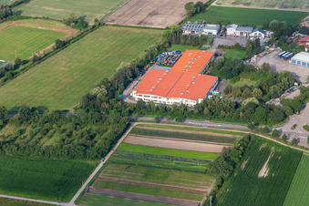 Luftaufnahme von Bührmann Weine GmbH in Zeiskam im Bundesland Rheinland-Pfalz, Deutschland