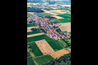 Hayna von Nordosten in Herxheim bei Landau im Bundesland Rheinland-Pfalz, Deutschland