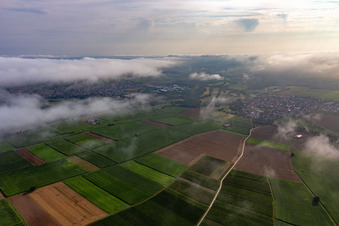 Unter tiefen Wolken in Rohrbach im Bundesland Rheinland-Pfalz, Deutschland