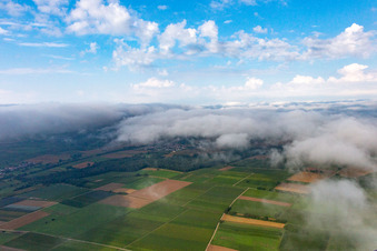 Unter tiefen Wolken in Barbelroth im Bundesland Rheinland-Pfalz, Deutschland