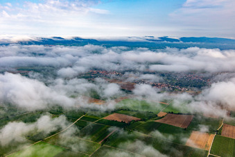 Unter tiefen Wolken im Ortsteil Ingenheim in Billigheim-Ingenheim im Bundesland Rheinland-Pfalz, Deutschland