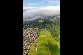 Schrägluftbild von Burg Landeck am Morgen unter tiefen Wolken in Klingenmünster im Bundesland Rheinland-Pfalz, Deutschland