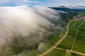 Luftbild von Dichte Wolken aus Westen fließen über den  Haardtrand unterhalb der Madenburg in Eschbach im Bundesland Rheinland-Pfalz, Deutschland