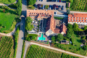 Luftaufnahme von 4-Sterne-Hotel Leinsweiler Hof zwischen Weinbergen am Morgen im Bundesland Rheinland-Pfalz, Deutschland