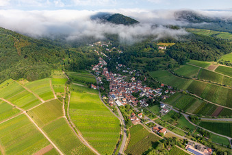 Birnbachtal am Morgen von Südosten in Leinsweiler im Bundesland Rheinland-Pfalz, Deutschland