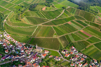 Weinlage Kastanienbusch hinter dem Weinort von Südosten in Birkweiler im Bundesland Rheinland-Pfalz, Deutschland