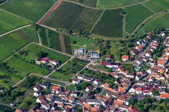 Am Gaisberg von Nordosten in Birkweiler im Bundesland Rheinland-Pfalz, Deutschland