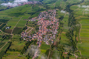 Ortschaft von Osten am Morgen unter Wolken im Ortsteil Arzheim in Landau in der Pfalz im Bundesland Rheinland-Pfalz, Deutschland