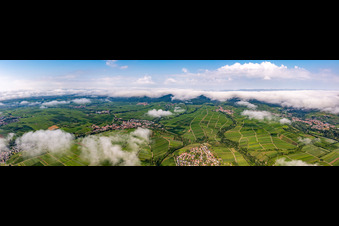 Weinberge von der kleinen Kalmit bis zum Rand des von Wolken verhangenen Pflälzerwalds zwischen Siebeldingen, Arzheim, Ilbeshheim und Eschbach in Ilbesheim bei Landau im Bundesland Rheinland-Pfalz, Deutschland