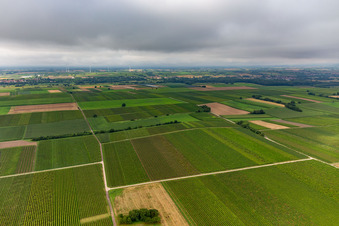 Teifen Tal unter niedriger Wolkendecke im Ortsteil Mühlhofen in Billigheim-Ingenheim im Bundesland Rheinland-Pfalz, Deutschland
