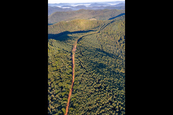 Trasse zur Neuerrichtung des Teilstücks der Trans-Europa-Naturgas-Pipeline (TENP-I zwischen den Niederlanden und der Schweiz) auf 51 km Länge zwischen Mittelbrunn und Klingenmünster im Bundesland Rheinland-Pfalz, Deutschland