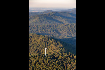 Stäffelbergturm von Norden in Dörrenbach im Bundesland Rheinland-Pfalz, Deutschland