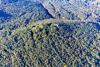 Runie der Burg Drachenfels in Busenberg im Bundesland Rheinland-Pfalz, Deutschland