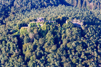 Luftbild von Runie der Burg Drachenfels in Busenberg im Bundesland Rheinland-Pfalz, Deutschland