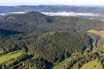 Luftaufnahme von Runie der Burg Drachenfels in Busenberg im Bundesland Rheinland-Pfalz, Deutschland