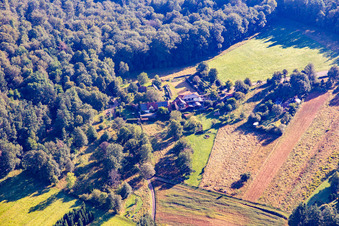 Hütte und Wild-Gaststätte Cramerhaus zu Füßen der Burgruine Lindelbrunn in Vorderweidenthal im Bundesland Rheinland-Pfalz, Deutschland