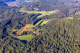 Schrägluftbild von Hütte und Wild-Gaststätte Cramerhaus zu Füßen der Burgruine Lindelbrunn in Vorderweidenthal im Bundesland Rheinland-Pfalz, Deutschland