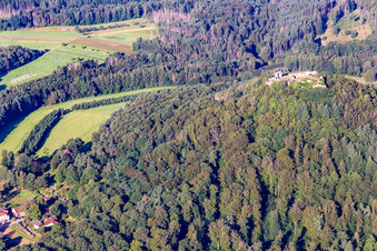 Hütte und Wild-Gaststätte Cramerhaus zu Füßen der Burgruine Lindelbrunn in Vorderweidenthal im Bundesland Rheinland-Pfalz, Deutschland von oben