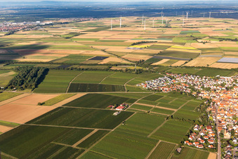 Drohnenaufname von Insheim im Bundesland Rheinland-Pfalz, Deutschland
