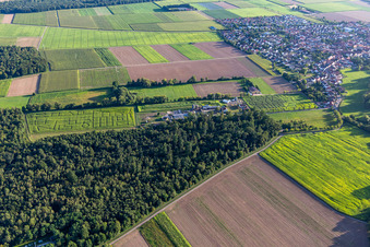 Maislabyrinth, Hochzeitslocation und Beachlounge in Steinweiler Seehof im Bundesland Rheinland-Pfalz, Deutschland von der Drohne aus gesehen