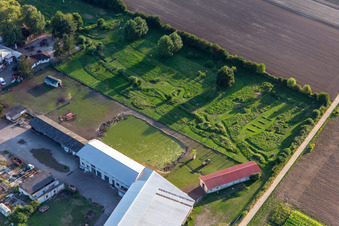 Fußgolfpark Südpfalz am Adamshof in Kandel im Bundesland Rheinland-Pfalz, Deutschland