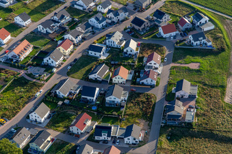 Narzissenweg in Kandel im Bundesland Rheinland-Pfalz, Deutschland von oben