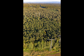 Schrägluftbild von Wörth am Rhein im Bundesland Rheinland-Pfalz, Deutschland