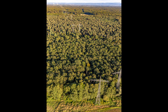 Zwei parallele Hochspannungsleitungen über dem Bienwald in Wörth am Rhein im Bundesland Rheinland-Pfalz, Deutschland