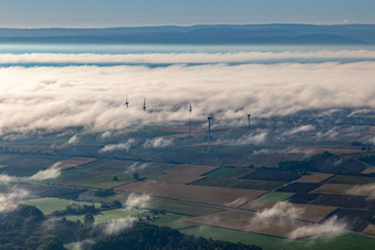 Windpark bei Minfeld in Wolken im Bundesland Rheinland-Pfalz, Deutschland