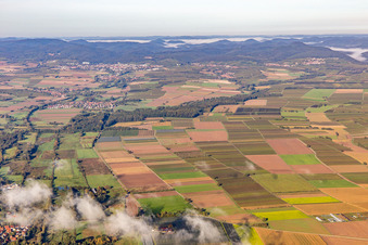 Billigheimer Bruch und Horbachtal im Ortsteil Mühlhofen in Billigheim-Ingenheim im Bundesland Rheinland-Pfalz, Deutschland