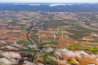 Windpark bei Freckenfeld mit Wölkchen im Bundesland Rheinland-Pfalz, Deutschland