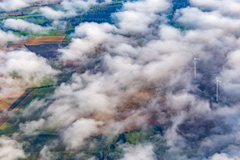 Schrägluftbild von Windpark bei Minfeld teilweise in Wolken im Bundesland Rheinland-Pfalz, Deutschland