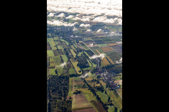 Billigheimer Bruch von Westen im Ortsteil Mühlhofen in Billigheim-Ingenheim im Bundesland Rheinland-Pfalz, Deutschland