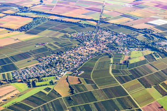 Ortschaft von Südwesten in Insheim im Bundesland Rheinland-Pfalz, Deutschland