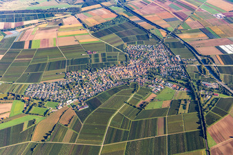 Ortschaft von Süden in Insheim im Bundesland Rheinland-Pfalz, Deutschland