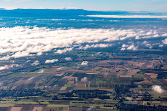 Windpark bei Freckenfeld in Hergersweiler im Bundesland Rheinland-Pfalz, Deutschland